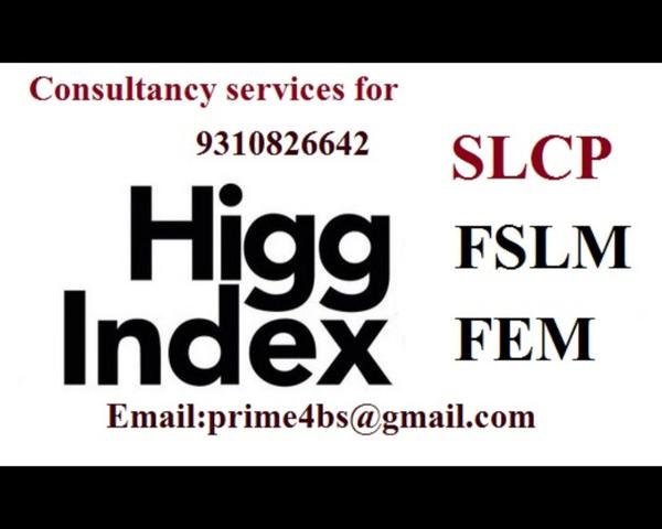 SLCP/FSLM and FEM are just ind
