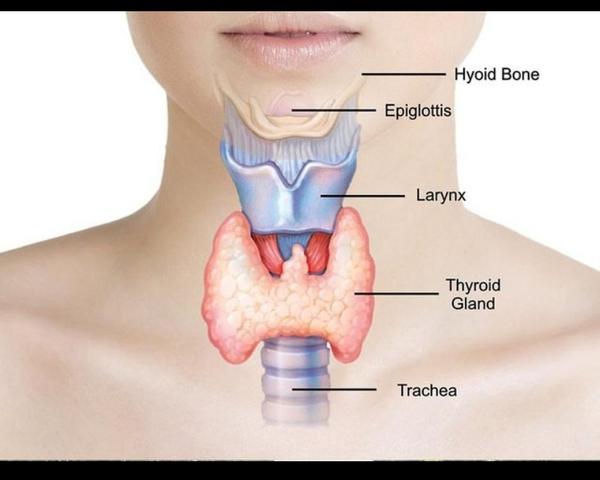 Thyroid treatment focuses on r
