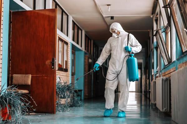 Searching for dependable pest 