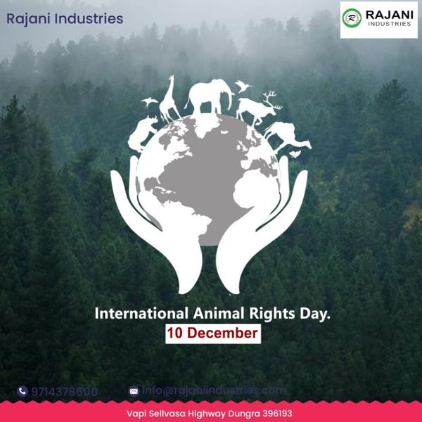 Enhance your space with a high