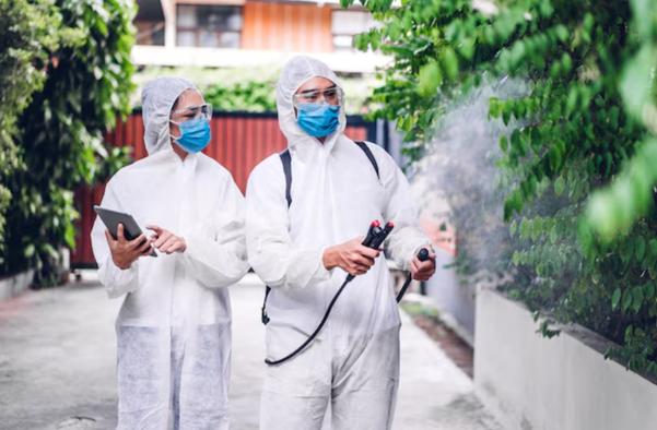 Choosing reliable pest control