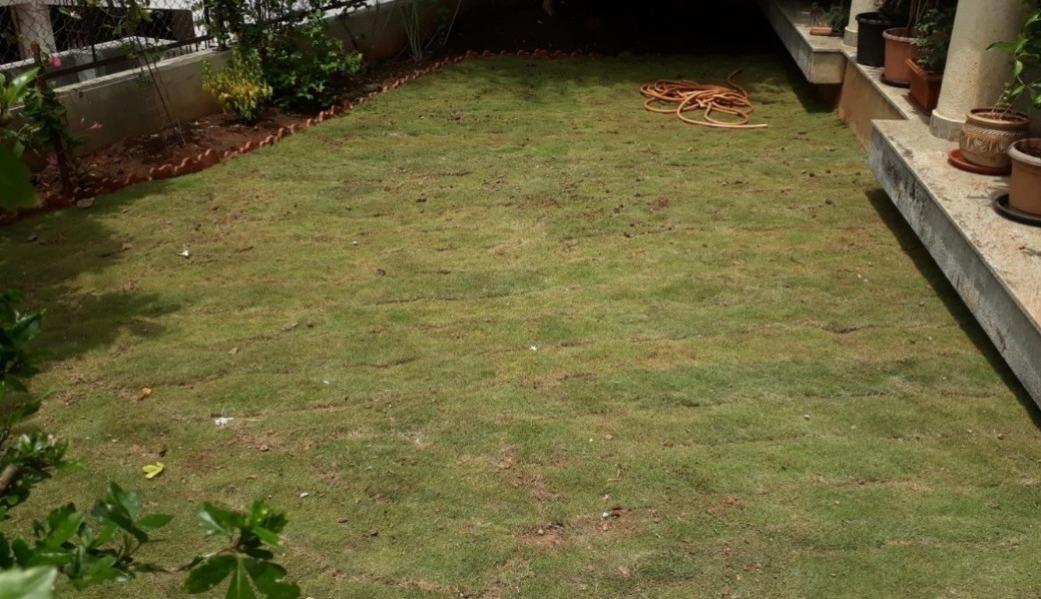 Landscaping plays a significant role in shaping ou