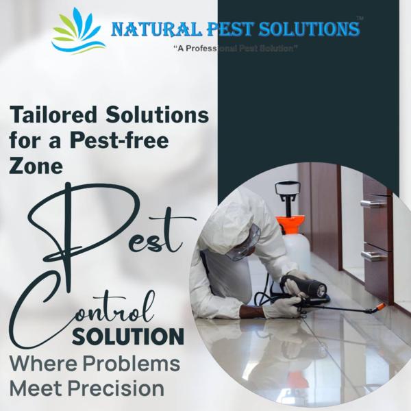 schnelle serviceplanung noch h