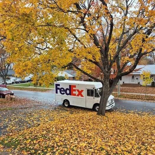 international courier service 