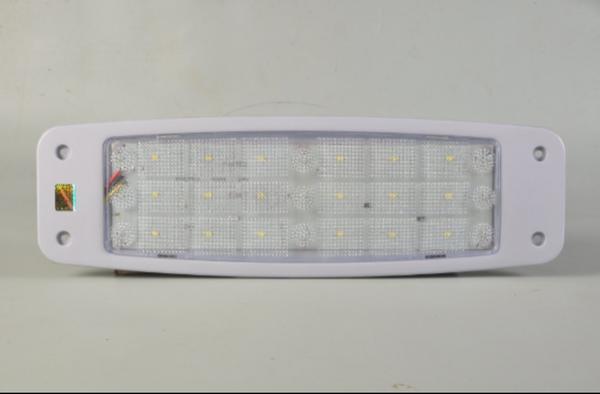 In the vibrant city of Ka