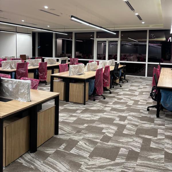 professional house cleaning mu