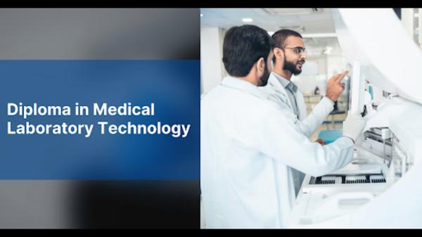 The demand for skilled me