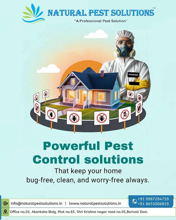 custom fly solutions