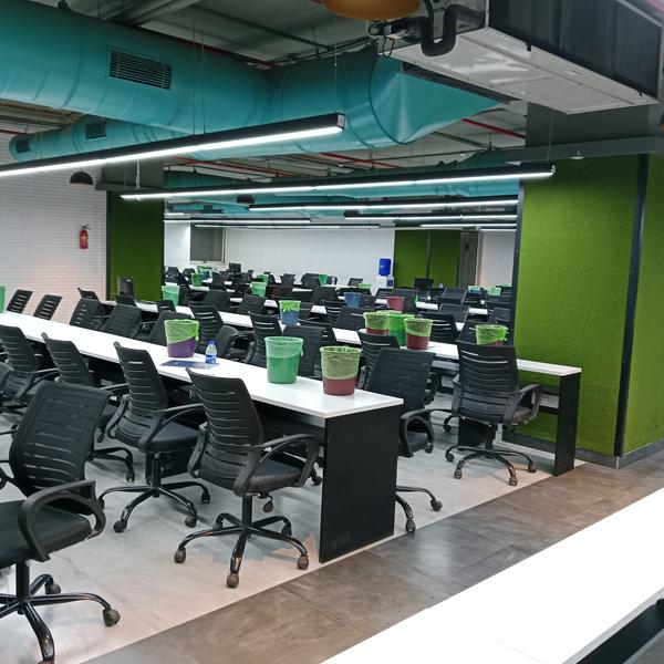 professional house cleaning mu