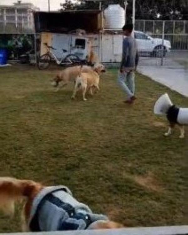 Best Dog Park in Noida – Furry