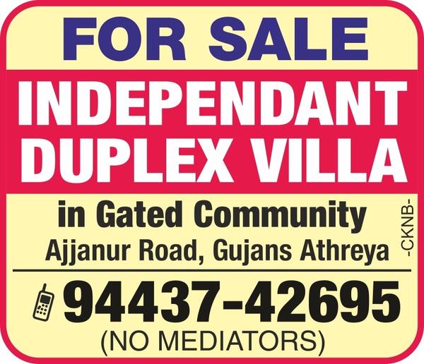 News Paper Advertisement 
