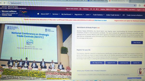 government incentives for indi