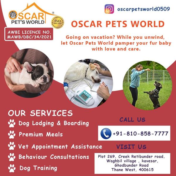 Oscar Pet’
