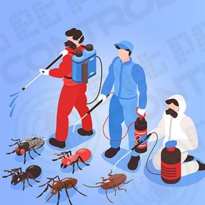 pest control strategies