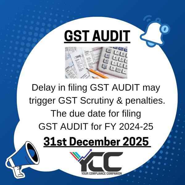 GST AUDUT FY 2024-25