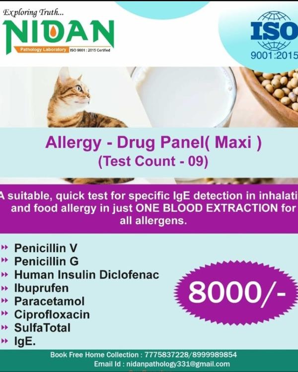 immunoglobulin e allergy testi