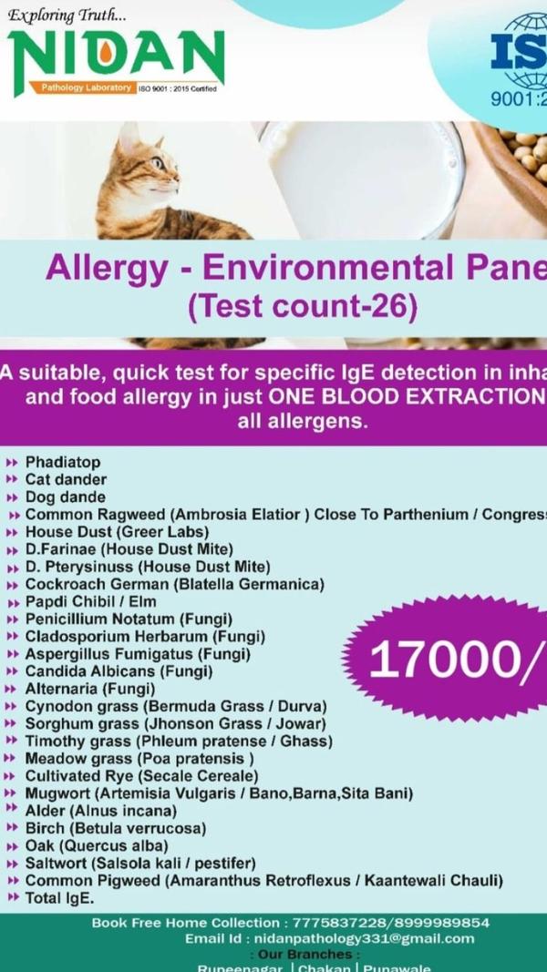 immunoglobulin e allergy testi
