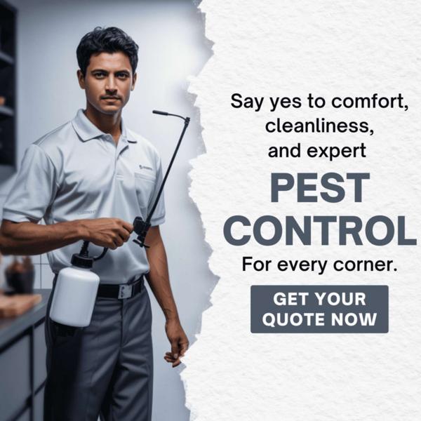 custom fly solutions