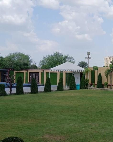 Dive into our 31st December pa