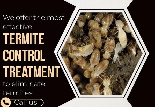 custom fly solutions