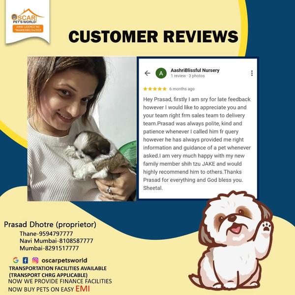 airoli pet shop