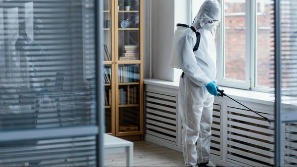 eco friendly pest treatments g