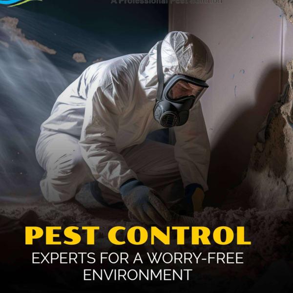 natural pest solutions maharas
