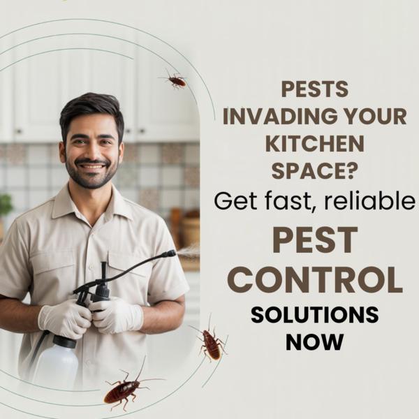 professional bed bug treatment