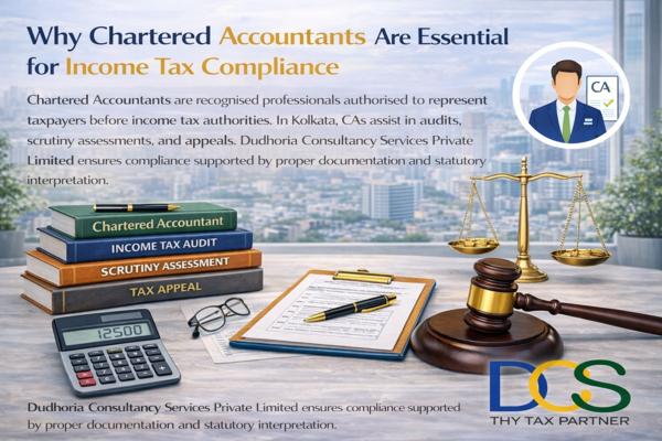 statutory audit assurance kolk