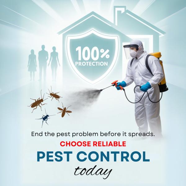 pest control bed bugs