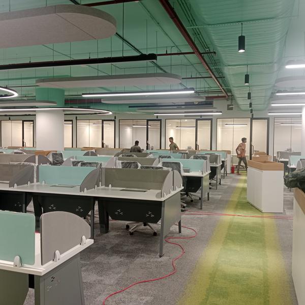 professional carpet cleaning s