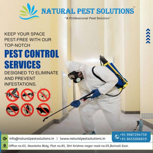 fly protection for property