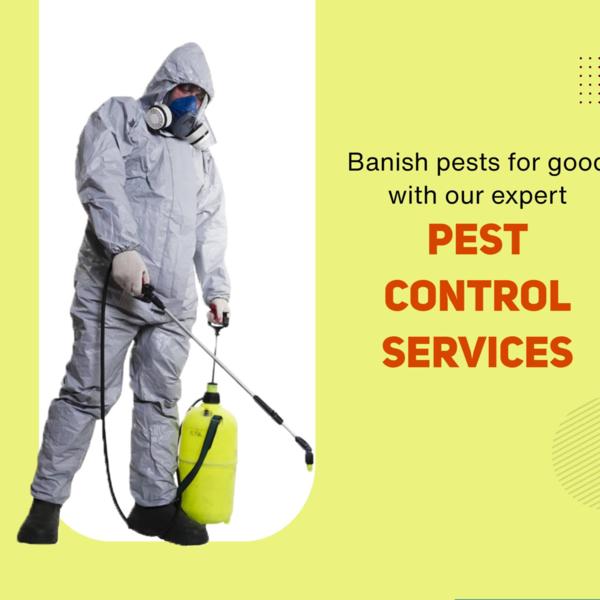 pest control amc options