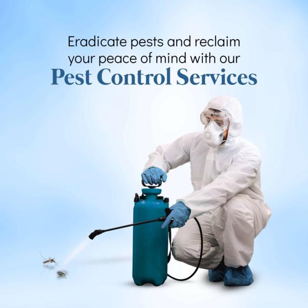 pest control bed bugs