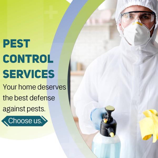 safe mosquito eradication solu