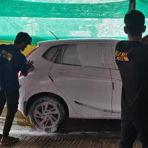 vehicle pest prevention mesh