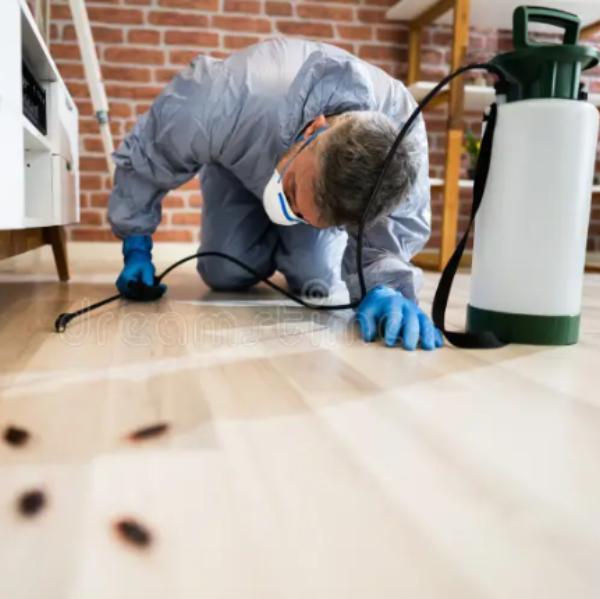 Pest control is an essential s