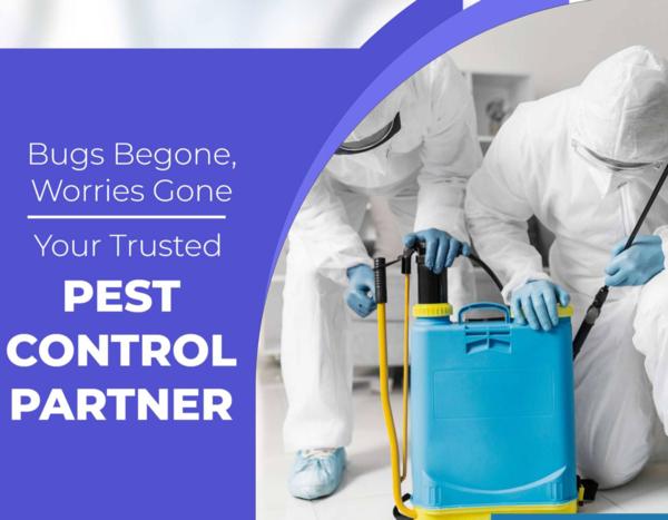 pest control amc options