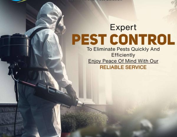 pest control bed bugs