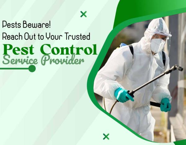 home mosquito borne disease pr