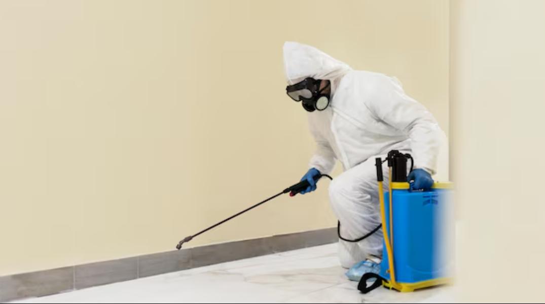 Termites are silent destroyers