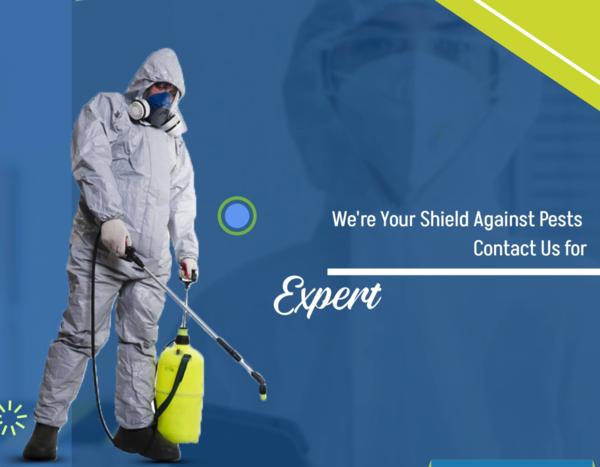 expert pest control team weste