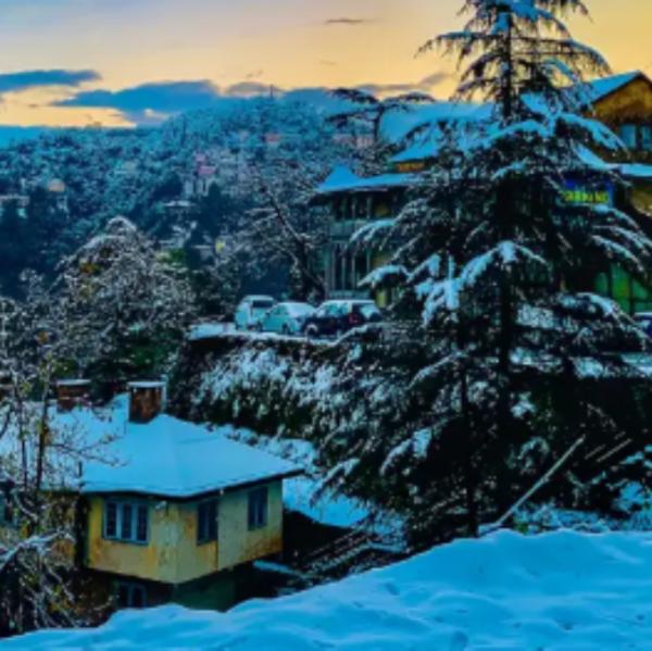 Shimla Family Tour from Nagpur