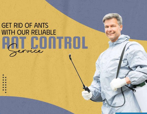 small pests big problems