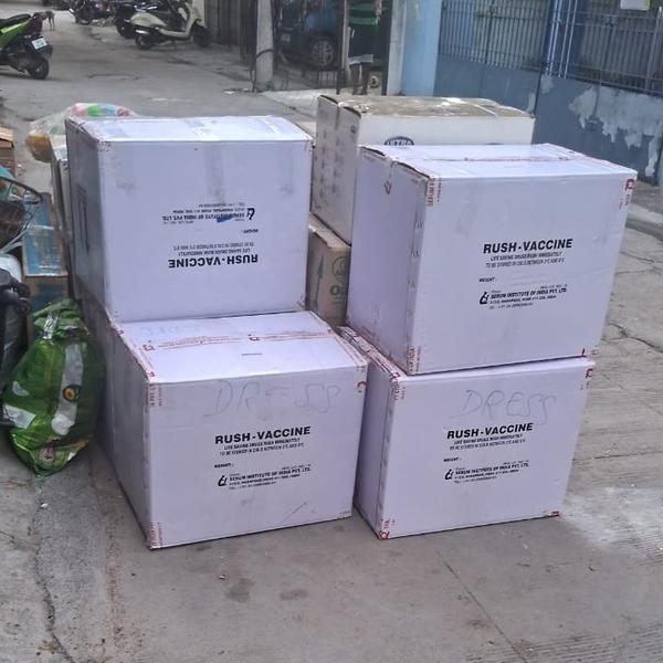 affordable local and outstatio