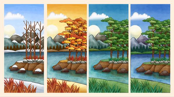 exhibition entry pass printing