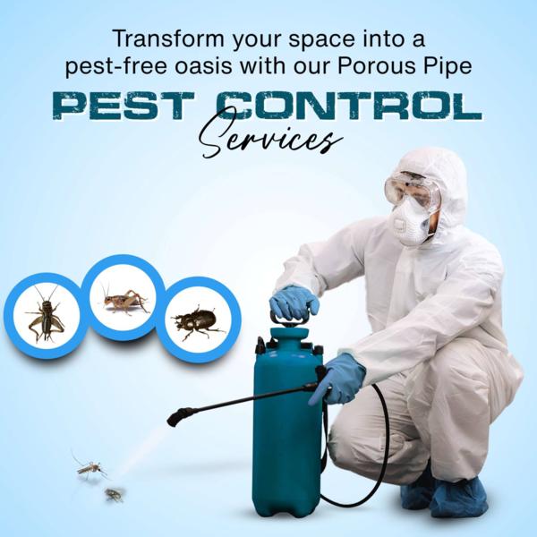 free pest inspection today