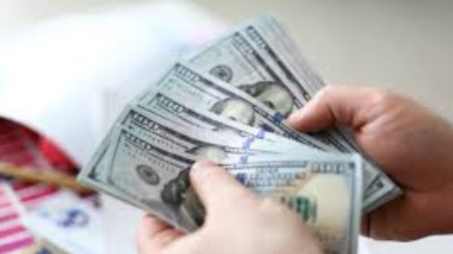 Exciting trips, overseas studi