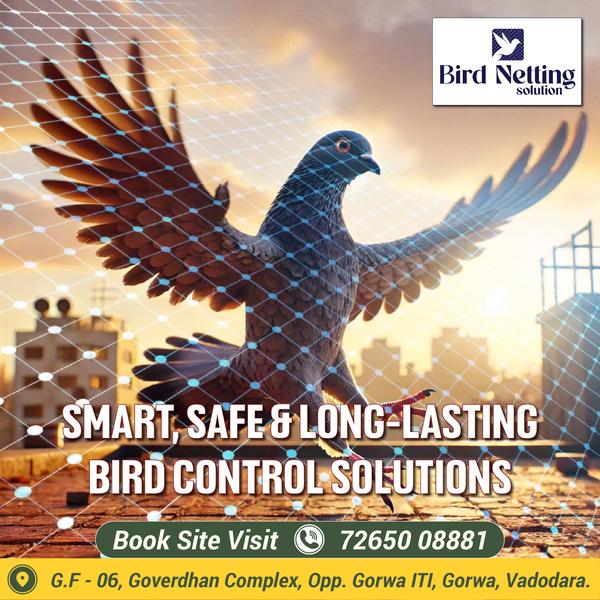 Best Stainless Steel Bird Spik