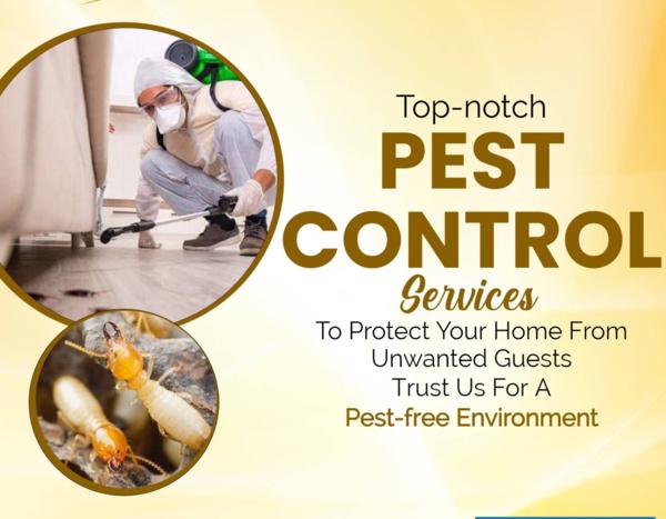 free pest inspection today